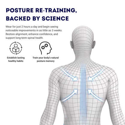 Ergonomic Support for Better Posture