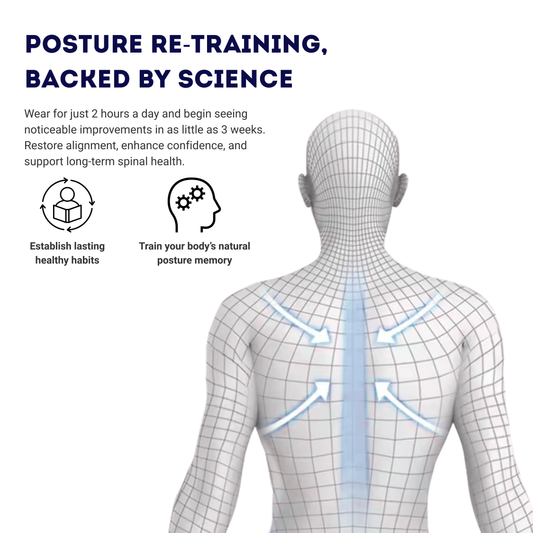 Ergonomic Support for Better Posture